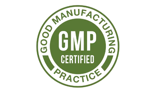 Giga Erect GMP Certified Facility